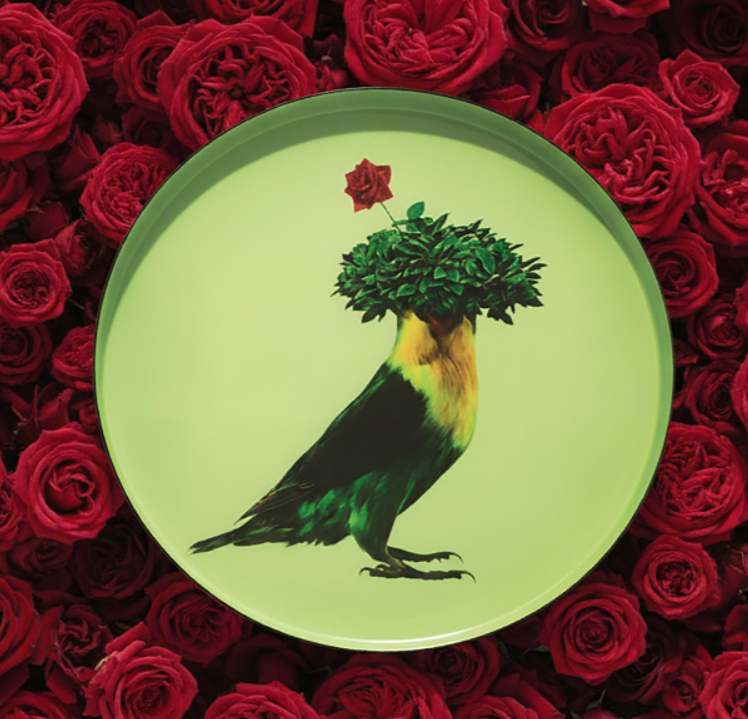 Figurine oiseau perroquet en verre multicolore